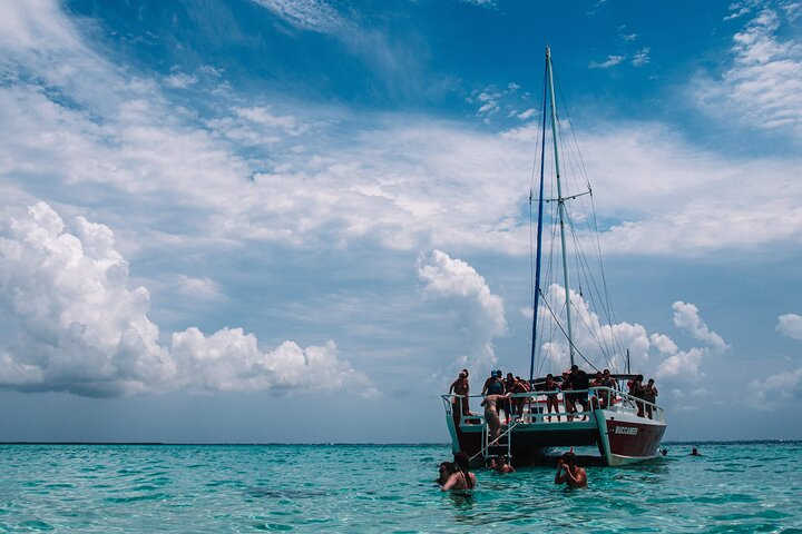 3-Stop Stingray City, Reef Snorkel & Starfish Point Tour - Photo 1 of 25